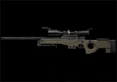 Magnum AWP